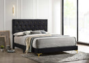Kendall Panel Bed Black