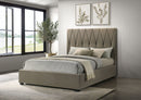 Delsea Panel Platform Bed