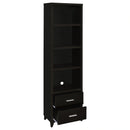 Lewes Entertainment Center